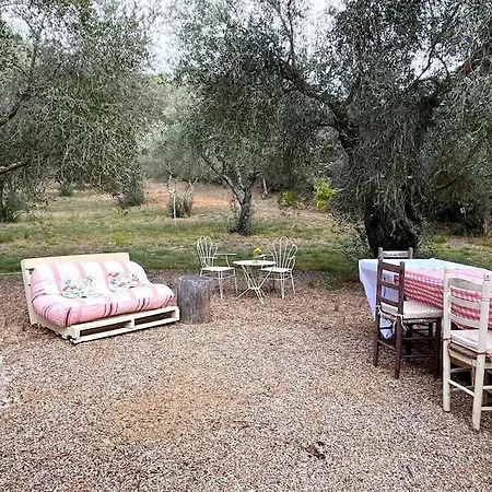 La Casita De Olivos