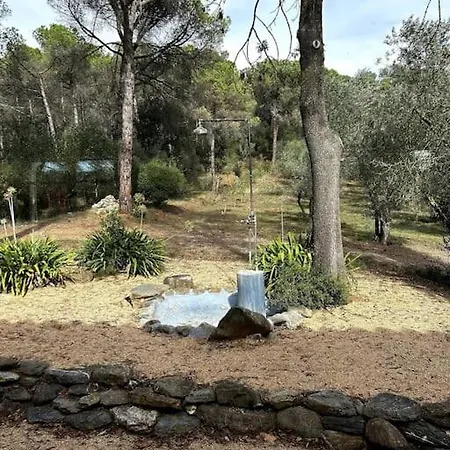 La Casita De Olivos